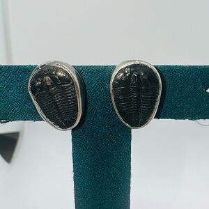 Vintage Sterling silver Trilobite Fossil earrings screw back​​